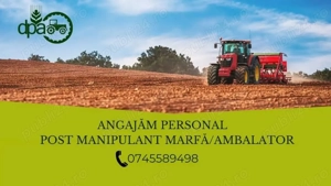 moira dpa angajeaza manipulant marfa ambalator