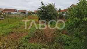 Casa de vanzare cu 4 camere in Drasov judetul Alba - imagine 10