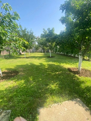 Casa de vanzare in Ciorogarla - imagine 6