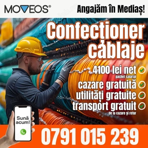 Angajam - Confectione cablaje 