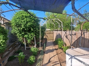 Casă cu teren generos de vânzare   comuna Roșiori, județul Brăila - imagine 8