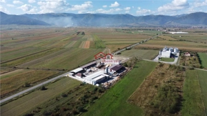 Oportunitate investi #539;ie prelucrare lemn, Cristian,jud.Sibiu - imagine 4