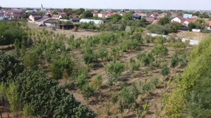 1786mp – teren Vatra satului Mosnita Veche - 125.000E - imagine 6