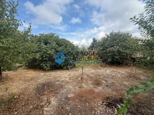 Zona centrala - Casa batraneasca, teren 690 mp - imagine 6