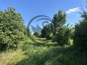 Teren Vanzare 11.000 MP Ghirdoveni | Comision 0% - imagine 6