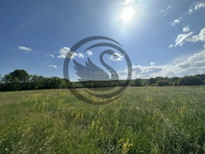 Teren Vanzare 11.000 MP Ghirdoveni | Comision 0% - imagine 8