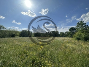 Teren Vanzare 11.000 MP Ghirdoveni | Comision 0% - imagine 12