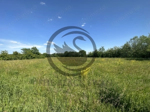 Teren Vanzare 11.000 MP Ghirdoveni | Comision 0% - imagine 11