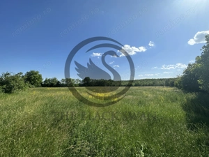 Teren Vanzare 11.000 MP Ghirdoveni | Comision 0% - imagine 10