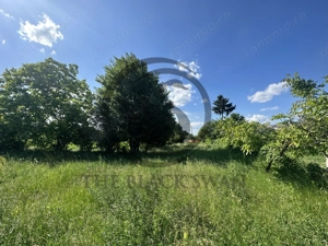 Teren Vanzare 11.000 MP Ghirdoveni | Comision 0% - imagine 13