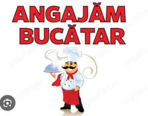 Angajam Urgent Bucătar 