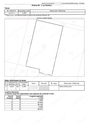 Teren intravilan 5200 mp, zona Borsului - imagine 2