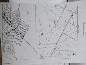 Teren 1000mp Măgurele - Dumitrana