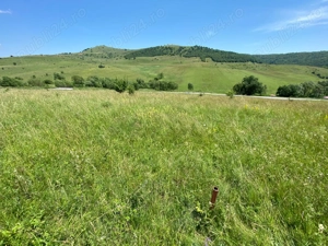 Teren de vanzare intravilan Salicea  1100 MP - imagine 3