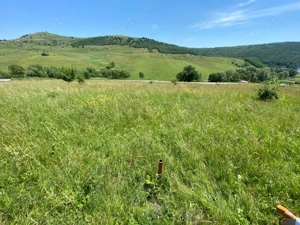 Teren de vanzare intravilan Salicea  1100 MP - imagine 4