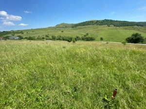 Teren de vanzare intravilan Salicea  1100 MP - imagine 5