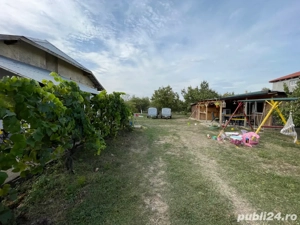 Casa + teren in comuna Otelec  - imagine 8