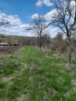 Teren de vanzare - imagine 6