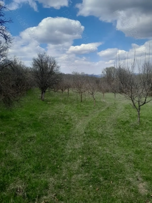 Teren de vanzare - imagine 5