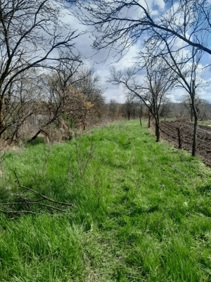 Teren de vanzare - imagine 10