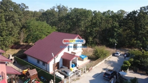 Vila cu garaj Padurea Pantelimon - 4 camere - imagine 6