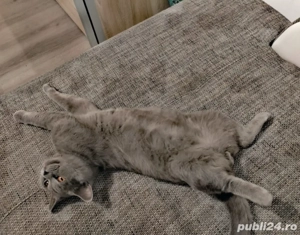 de vânzare  - imagine 3 de vânzare  - imagine 3