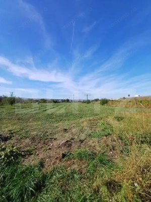 Teren extravilan, cu CF, 2963 mp, in Mihai Viteazu - imagine 4 Teren extravilan, cu CF, 2963 mp, in Mihai Viteazu - imagine 4