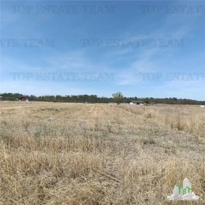 Teren intravila de vanzare   Pruni  Magurele