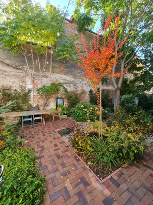 Vila superba cu 2 gradini, Icoanei 