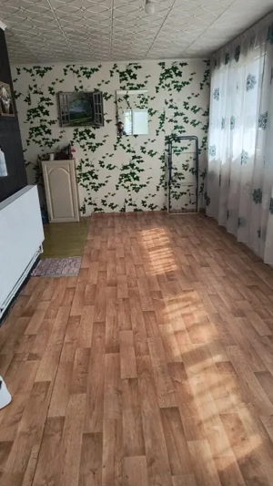 Casă renovată în Preluci la 12 Km de Comănesti , fântână și centrala proprie - imagine 16