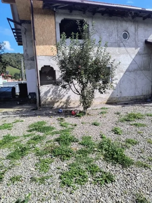 Casă renovată în Preluci la 12 Km de Comănesti , fântână și centrala proprie - imagine 10