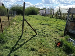 tund iarba zona giarmata 