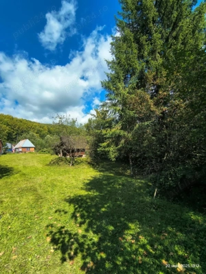 teren intravilan de vanzare strambu baiut Maramures  - imagine 4