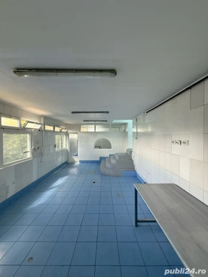 Spatii comerciale de inchiriat Tiglina 1 Galati fost Distrugatorul   Wolves