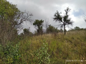 Vand intravilan cu loc de casa în Banatul de munte - splendid. - imagine 2