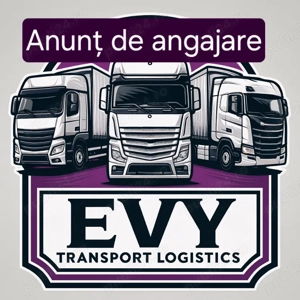 SOFER C+E pe comunitate 