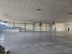 Hala Calea Lugojului 1400 mp 6000 euro - imagine 4