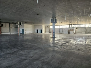 Hala Calea Lugojului 1400 mp