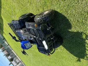 Bashan 250 automat  - imagine 2