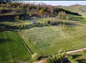 Teren intravilan 2000mp, lângă barajul Ighis - imagine 2