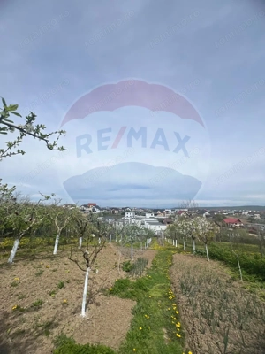 De vânzare 2 Corpuri de Casa si Teren 1388 mp in Geamăna, Bradu - imagine 18