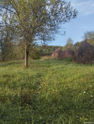 Vand casa zona linistita - imagine 4