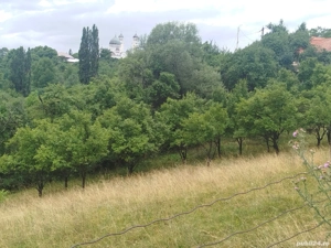 Teren de vânzare  - imagine 10