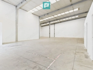 Spațiu industrial de 378 mp în Arad - imagine 9