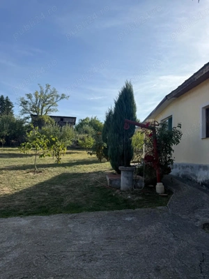vand casa la tara in apropiere de Craiova si 2,5 hectare de teren agricol - imagine 6 vand casa la tara in apropiere de Craiova si 2,5 hectare de teren agricol - imagine 6