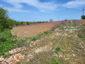 Intravilan vedere la lacul Snagov zona de vile noi - imagine 10