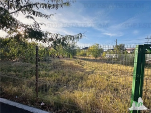 INCHIRIERE super teren 7452 mp, deschidere 3 sosele asfaltate REZERVELOR-CHIAJNA - imagine 6