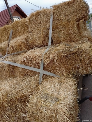 Baloți de paie dreptunghiulari mici