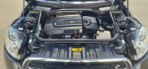 Vand Mini Cooper Countryman - imagine 9