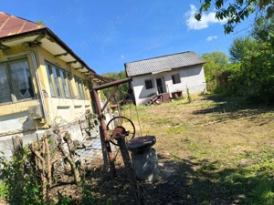 Gospodarie în Jud. Vâlcea, com. Peșceana, sat Ursoaia, 2 case și anexe
